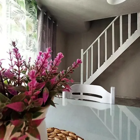 Demis Apartment