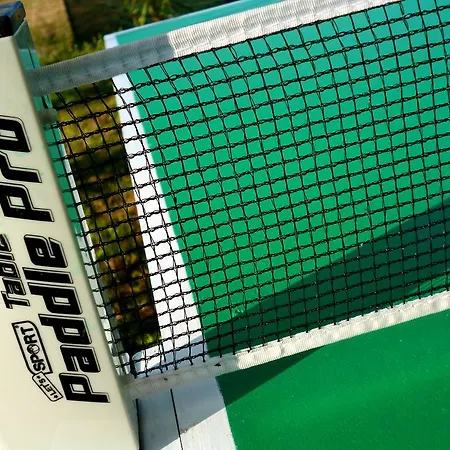 公寓 Demis 斯达林